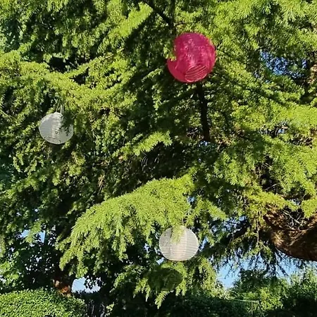 Bed & Breakfast Escale Au Clos Martin De Juillers Et D'hotes Saint-Martin-de-Juillers