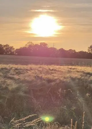 Bed & Breakfast Escale Au Clos Martin De Juillers Et D'hotes