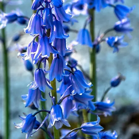 Escale Au Clos Martin De Juillers Et D'hotes Saint-Martin-de-Juillers