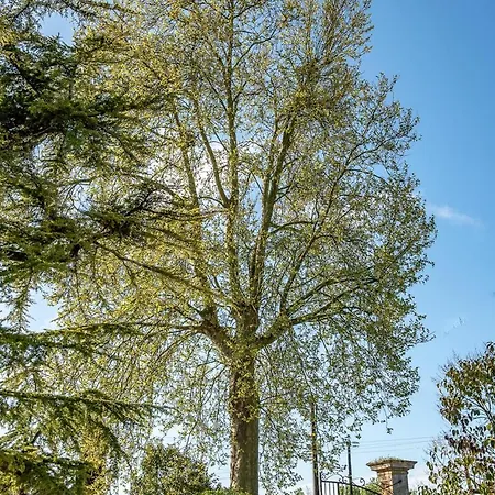 Escale Au Clos Martin De Juillers Et D'hotes