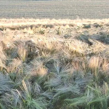 Bed & Breakfast Escale Au Clos Martin De Juillers Et D'hotes